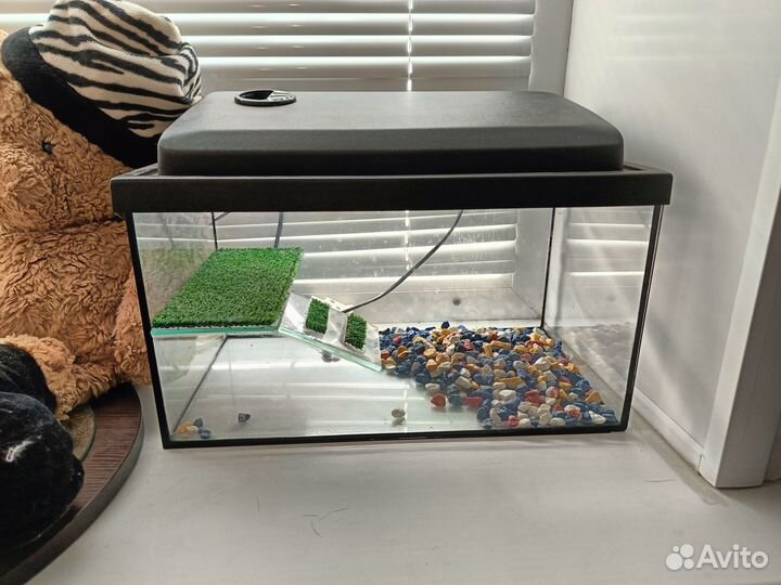 Аквариум для черепахи
