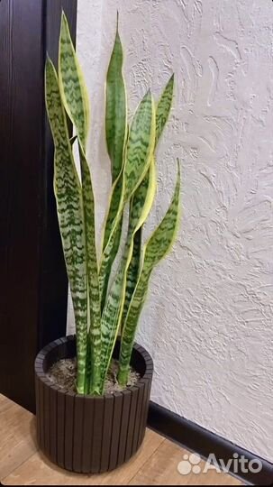 Кашпо/горшок цветочный