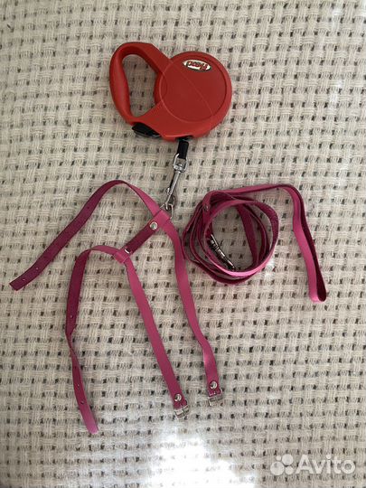 Одежда для животных