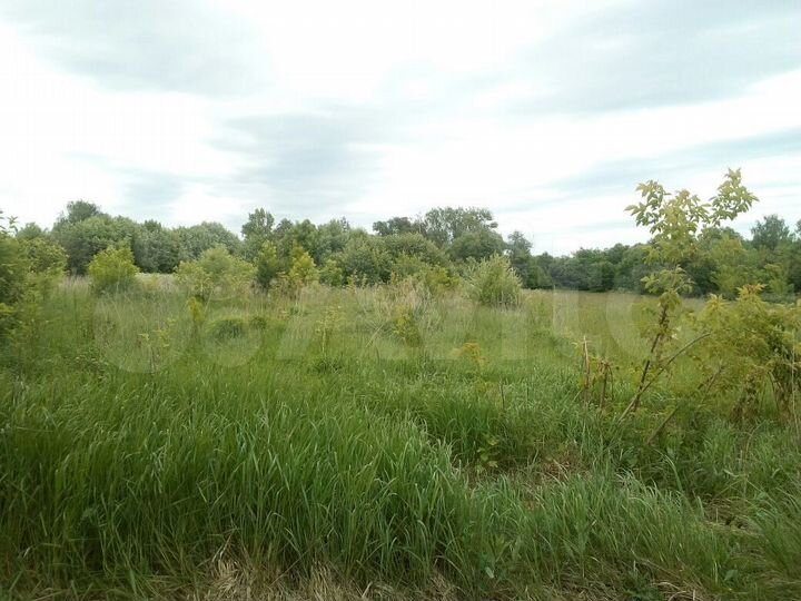 Участок 20 сот. (ИЖС)