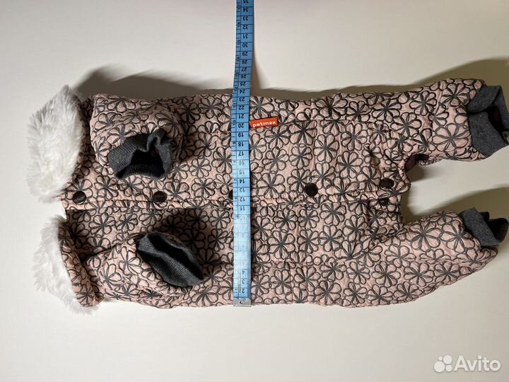 Одежда для собаки джек рассел