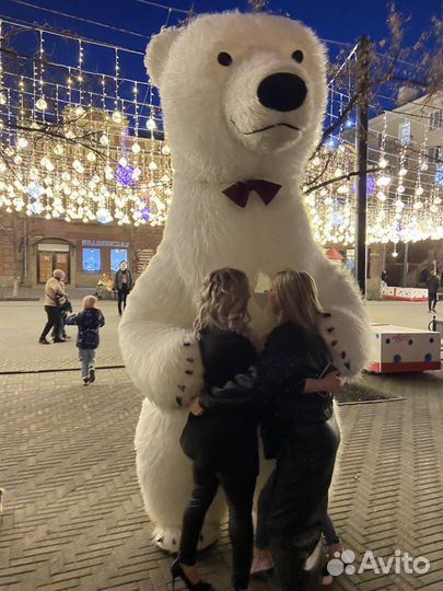 Белый мишка поздравление, медведь аниматор