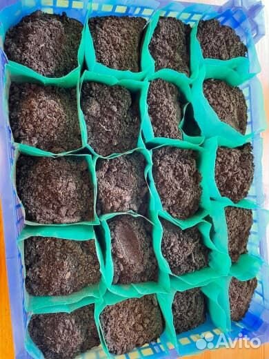 Пакеты для рассады 0,8 литра