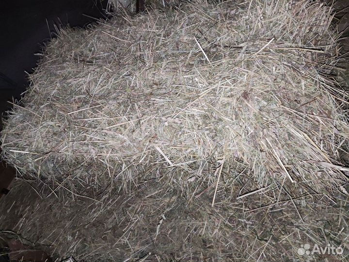 Сено в тюках