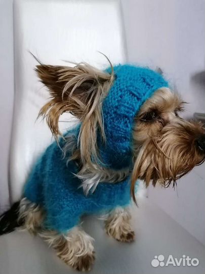 Шапки для йорка (той-терьера)