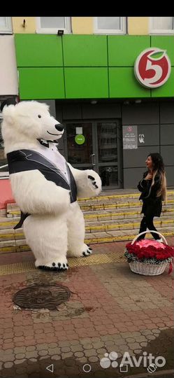 Белый мишка поздравление