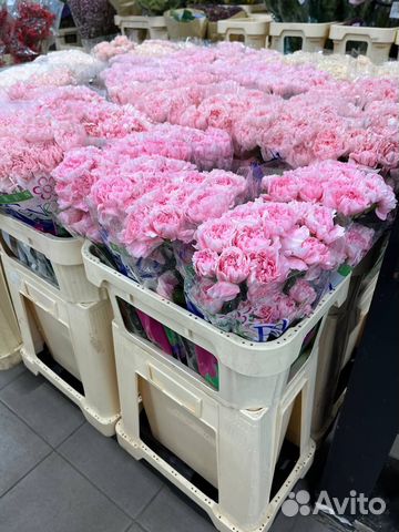 Цветы оптом гвоздики