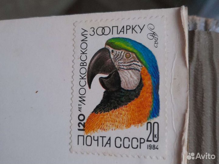 Марки