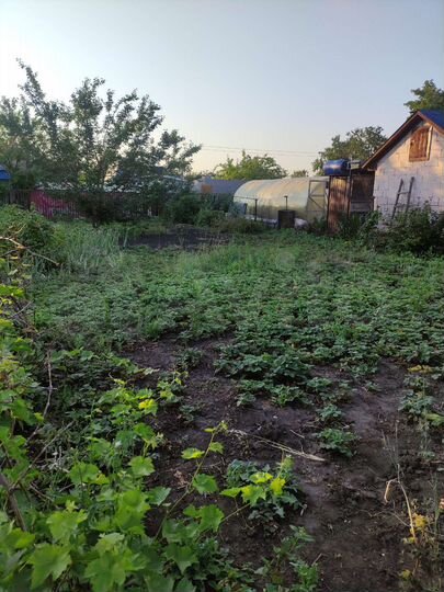 Участок 5 сот. (СНТ, ДНП)
