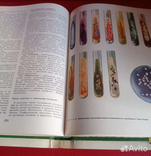 Жизнь растений