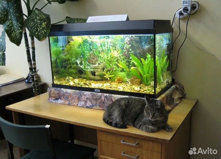 Обслуживание аквариумов