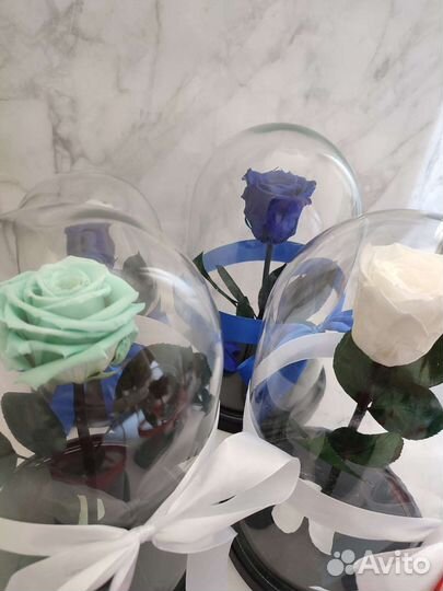 Роза в колбе