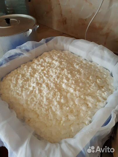 Творог, сметана, молоко и копченые деликатесы