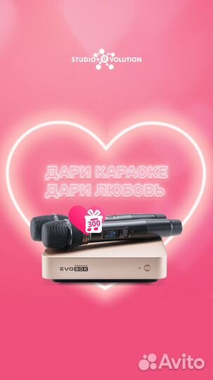 Караоке системы Evolution