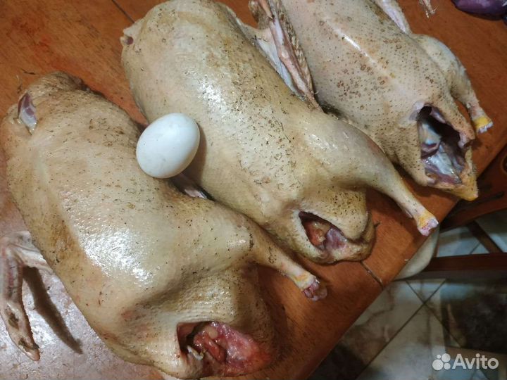 Сало копчёное