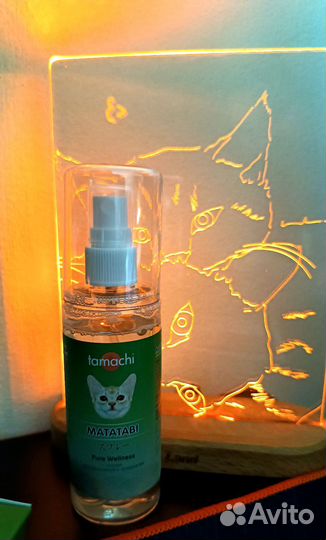 Кошачья мята