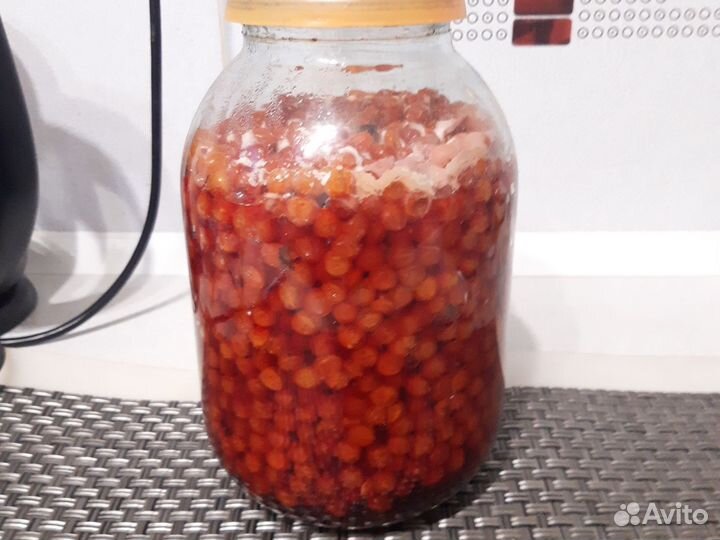 Калина ягода