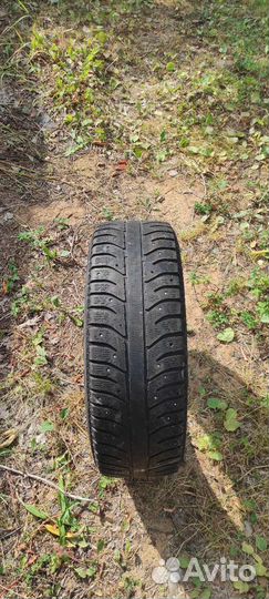 Bridgestone Ice Cruiser 7000 195/65 R15 91T