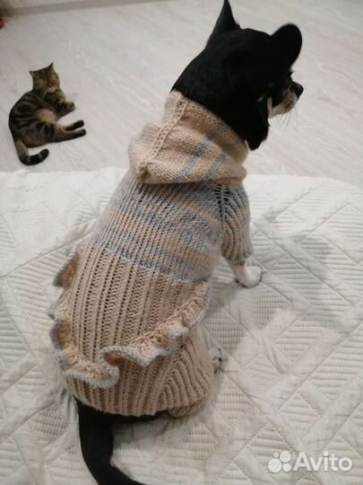 Вязаный комбинезон для чихуахуа