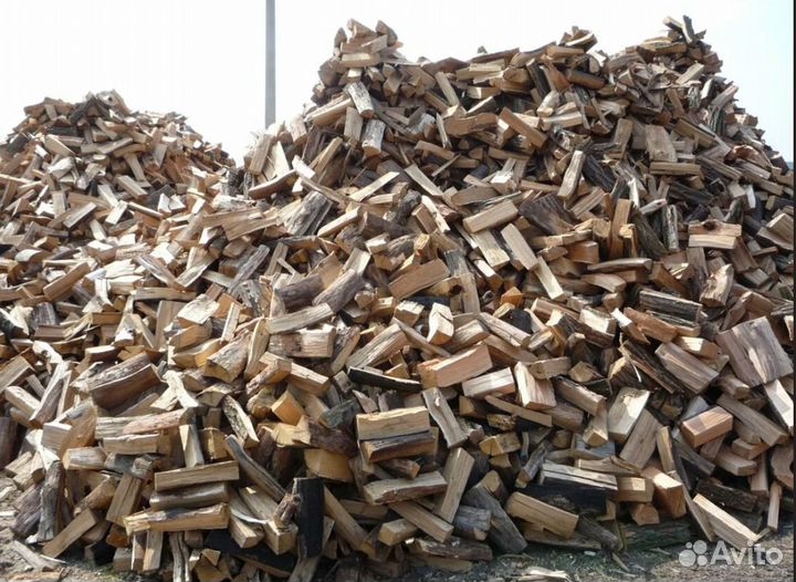 Дрова осина