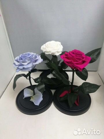 Роза в колбе оптом и в розницу