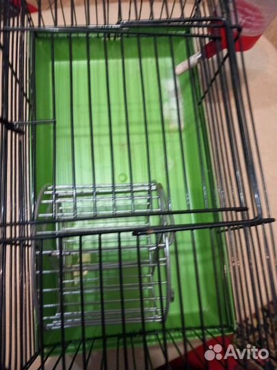 Клетка для джунгарского хомяка