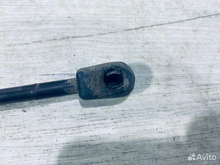 Амортизатор двери багажника Ford Focus седан 1.6