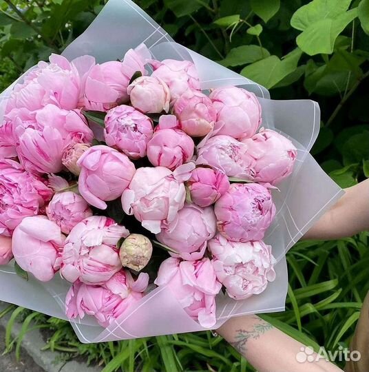 Пионы Букет пионов Доставка цветов