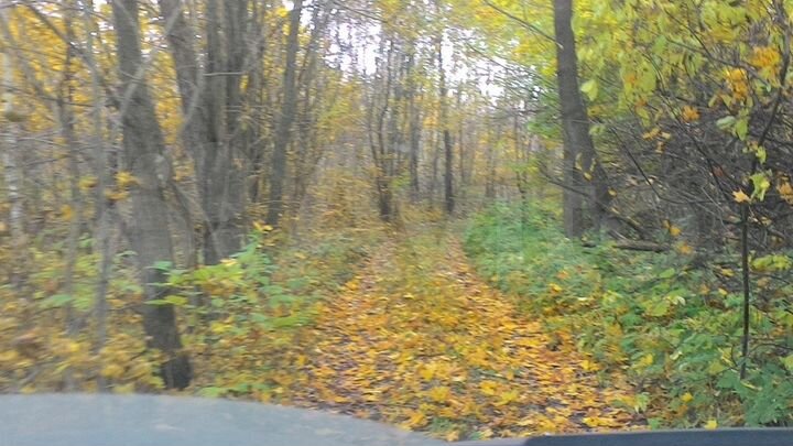 Участок 42 га (ИЖС)