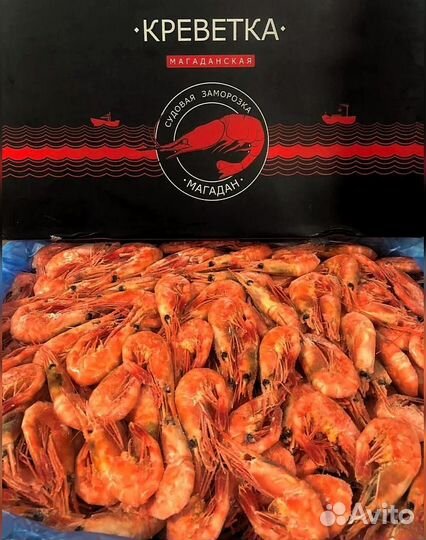 Креветка Северная