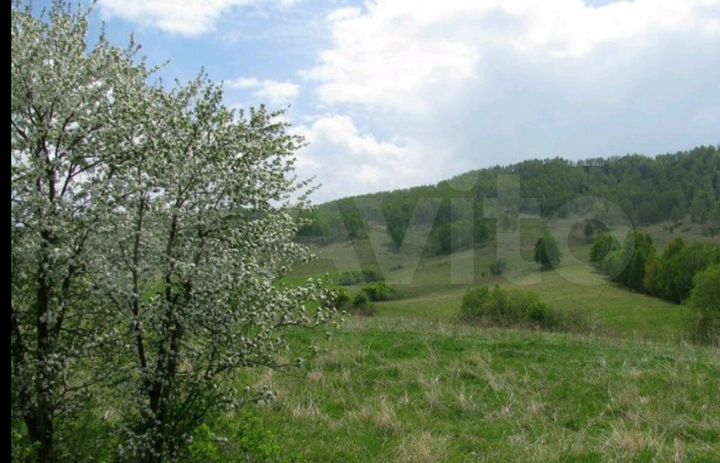 Участок 43,2 га (СНТ, ДНП)