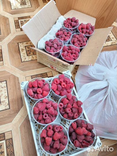 Малина саженцы, рассада