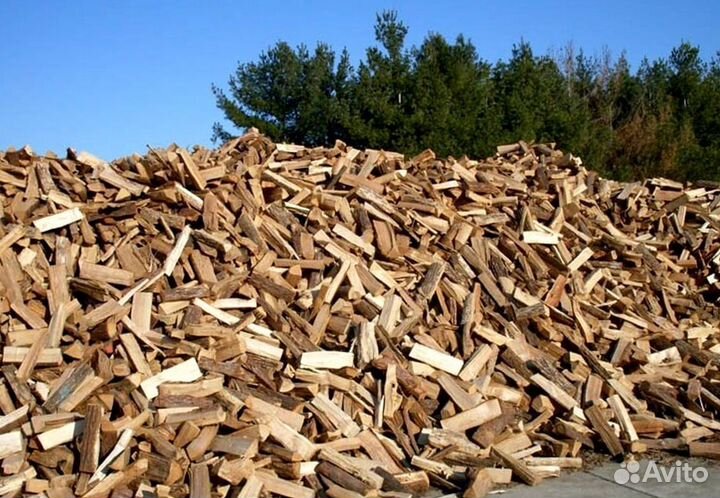 Дрова на выбор