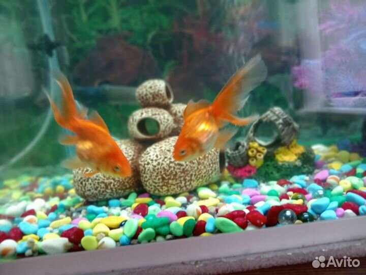 Аквариум с тумбой