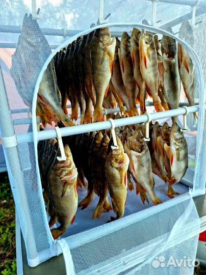 Сушилка для рыбы