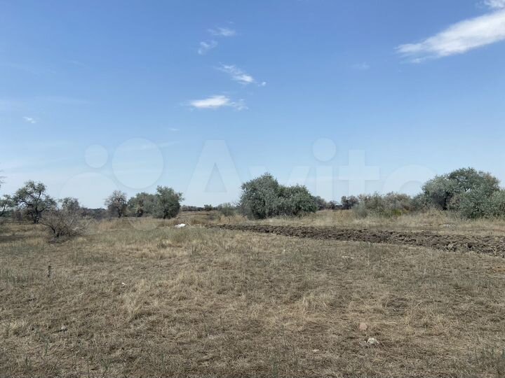 Участок 8 сот. (ИЖС)