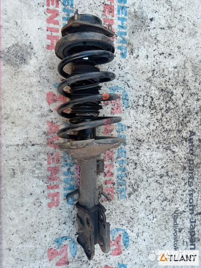 Стойка передняя правая nissan elgrand