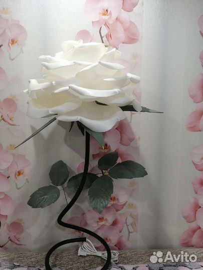 Ростовые цветы