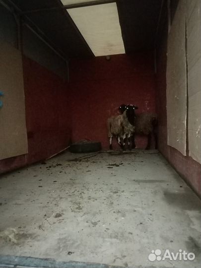 Грузоперевозки, переезд, доставка