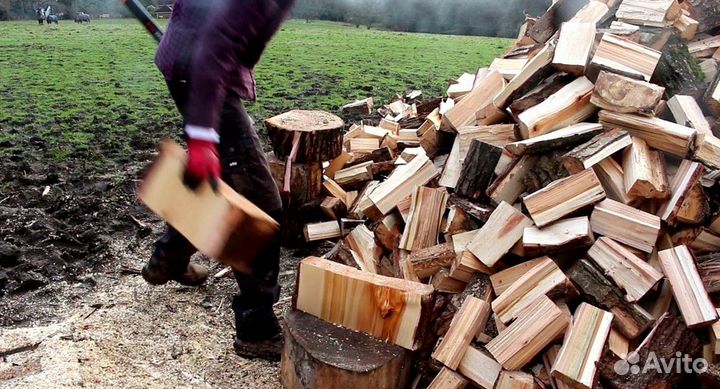 Дрова премиальные
