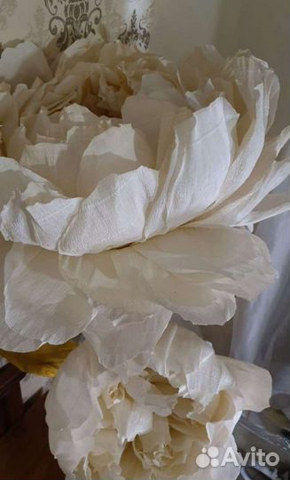 Ростовые цветы