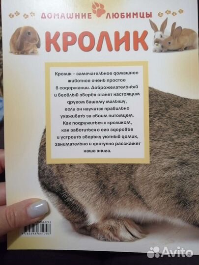 Книга. Кролик. Домашние любимцы