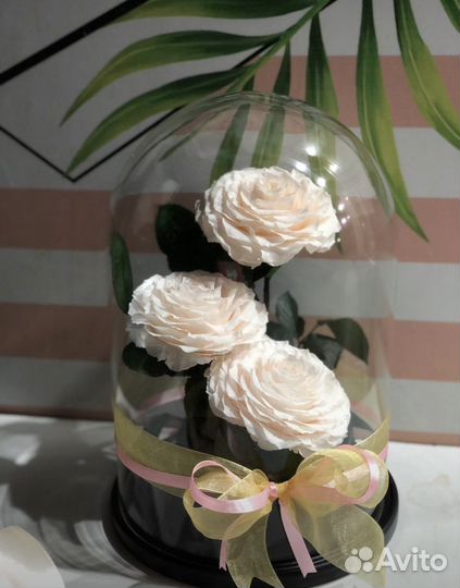 Роза в колбе