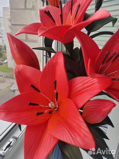 Светильник ночник