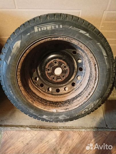 Pirelli Ice Zero 205/55 R16