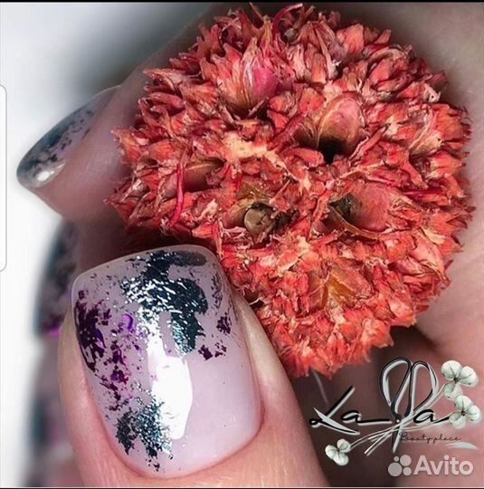 Мастер маникюра педикюра