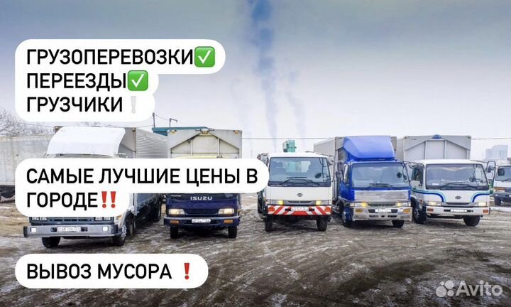 Грузоперевозки