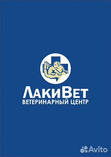 Ветеринарный центр «лакивет» Воскресенск