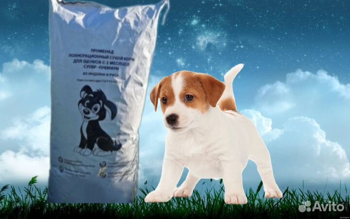 Сухой корм супер-премиум класса для собак/щенков