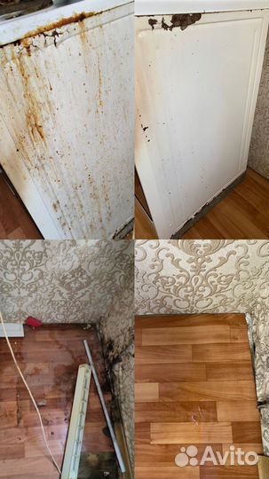 Клининг настоящий профессиональный